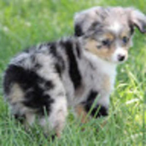 Meet your Posher, Claire